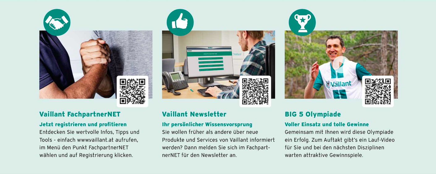 Mailing Angebote von Vaillant - BIG 5